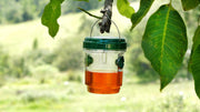 Genius Ideas Solar Insect Trap