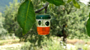 Genius Ideas Solar Insect Trap