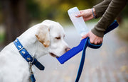 Genius Ideas Dog Drinking Bottle