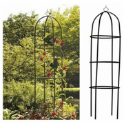 Kinzo Garden Rose Column - Green 185x40cm